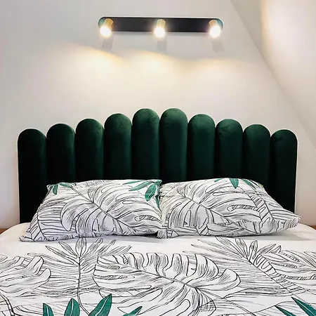 Lexi Hills * Divčibare